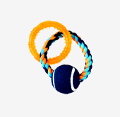 Pet Toys
